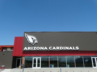 Arizona Cardinals _14