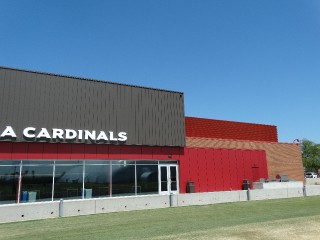 Arizona Cardinals _15