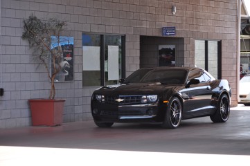 Thorobred Chevy_11