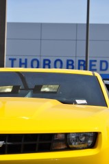 Thorobred Chevy_33