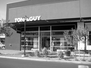 Toni and Guy_1